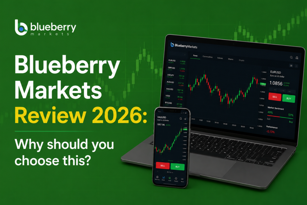 Blueberry Markets Review 2026: Why should you choose this?